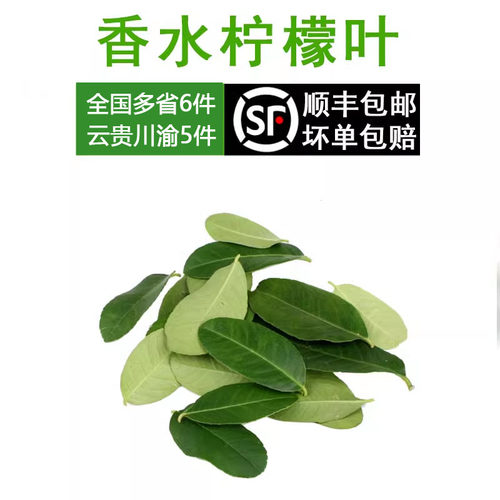 新鲜柠檬叶250g小叶片冬阴功青柠檬叶 泰国冬阴功汤调料 5件包邮