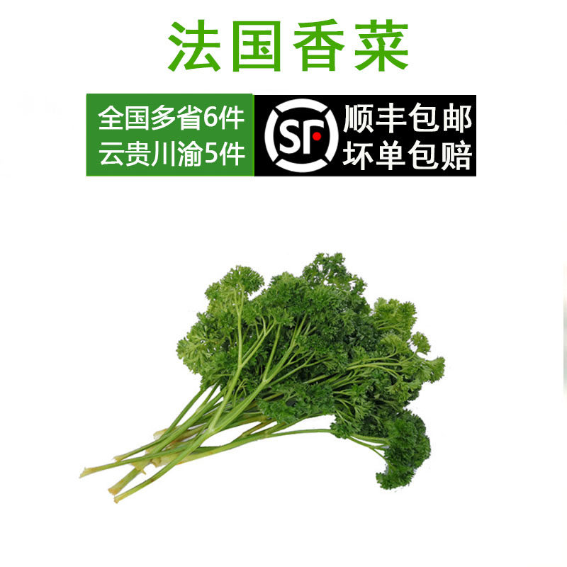 新鲜法香法国香菜洋芫荽荷兰芹 旱芹菜摆盘任搭5件顺丰包邮
