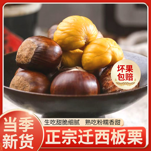 2025迁西鲜板栗生板栗