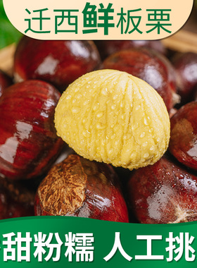 2025迁西板栗生新鲜栗子嫩板栗仁带壳现摘青栗子油栗5斤产地直发