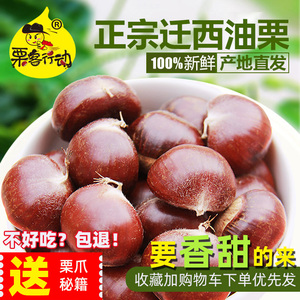 板栗 生 新鲜 迁西生板栗正宗野生燕山生板栗5斤油栗毛栗子新