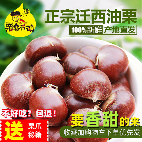 迁西正宗野生燕山新鲜板栗