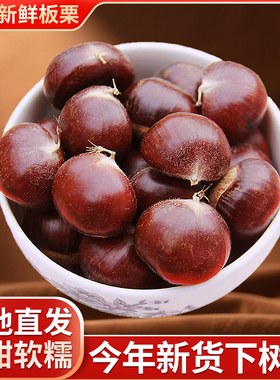 迁西生板栗生新鲜燕山油栗野生毛栗子大中小粒现摘粟5斤产地直发
