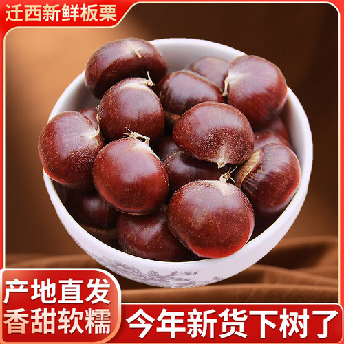 2025迁西鲜板栗生板栗