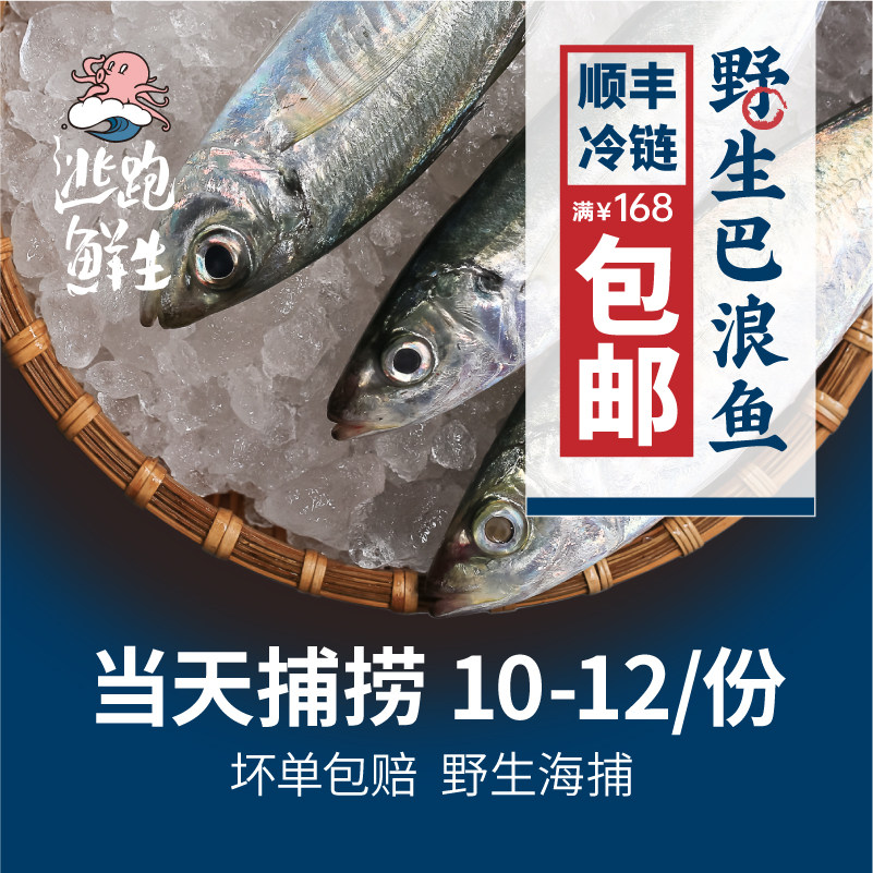 逃跑鲜生 巴浪鱼福建特产东山岛海鲜新鲜活冷冻水产海鱼2斤刺巴鱼