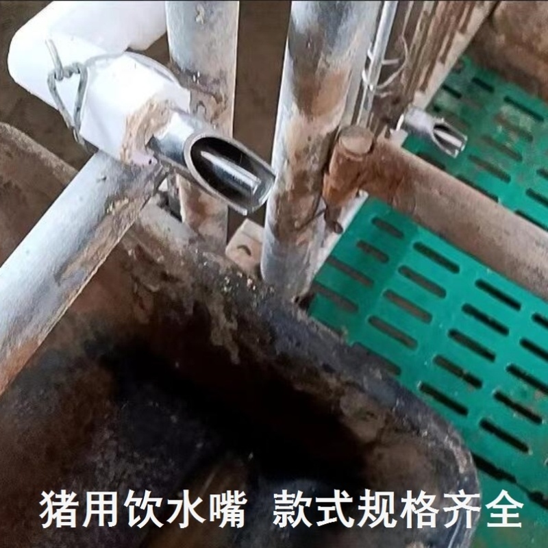 水咀猪用水嘴子咬水嘴鸭嘴水龙头猪自动饮水器配件猪用饮水嘴喂猪