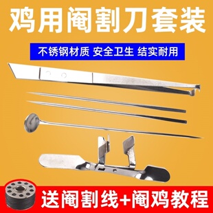 腌鸡不锈钢大鸡小鸡工具阉割阉鸡工具阎器割线神器大鸡割刀线全套