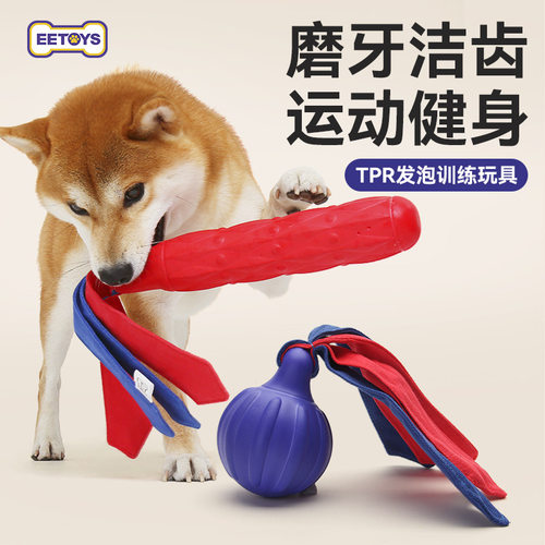 宜特宠物狗狗玩具耐咬发泡训练棒互动寻回拔河磨牙训练器材狗玩具