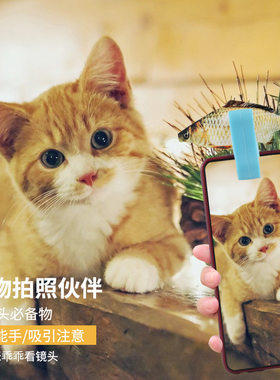 宠物自拍可夹食物狗狗互动拍照看镜头手机夹子人宠玩具