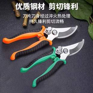 花剪枝园艺剪刀修枝剪省力修剪树枝果树竹签园林花卉专用花艺剪子