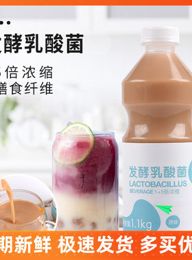原味发酵乳酸菌饮料茶饮原料龙力