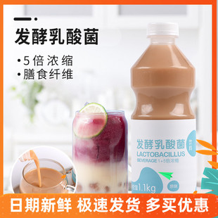 原味发酵乳酸菌风味奶茶茶饮原料优酸乳大瓶装龙力乳酸菌浓缩汁