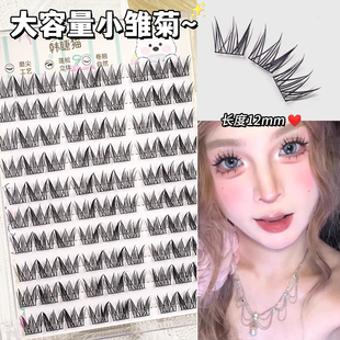 百搭不挑人！小雏菊假睫毛卷翘懒人三部曲自然仿真浓密分段漫画眼