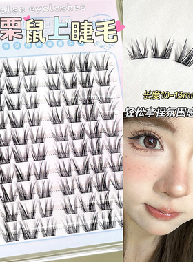 冷门但真好看！美栗鼠森系精灵分段式上睫毛纯欲自然款灵动上镜