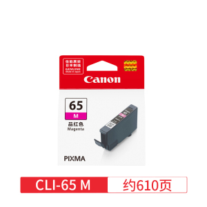 原装佳能65打印机墨盒 佳能PRO-200墨盒 PRO200 CLI-65号黑色墨水