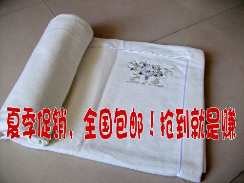毛毯 绒毯 天然蚕丝毯 绣花 棉毯 保暖 床单  买一送一 珊瑚绒毯