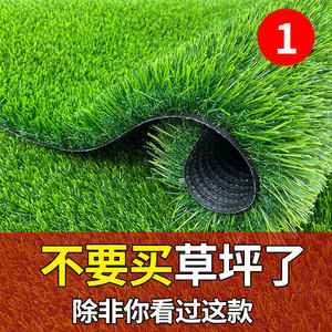 假草坪仿真绿草皮墙面装饰草坪幼儿园学校操场休闲娱乐区装饰