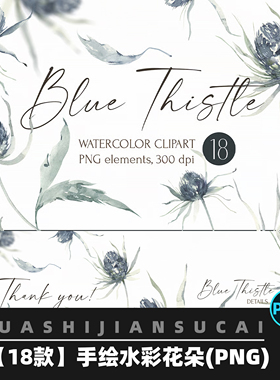 P021手绘水彩蓝色蓟花花卉装饰元素PNG免抠图贴纸剪贴画素材