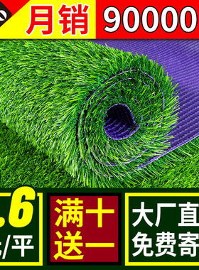 仿真草坪地毯户外假草地人造草皮人工绿色装饰绿植塑料铺垫足球场