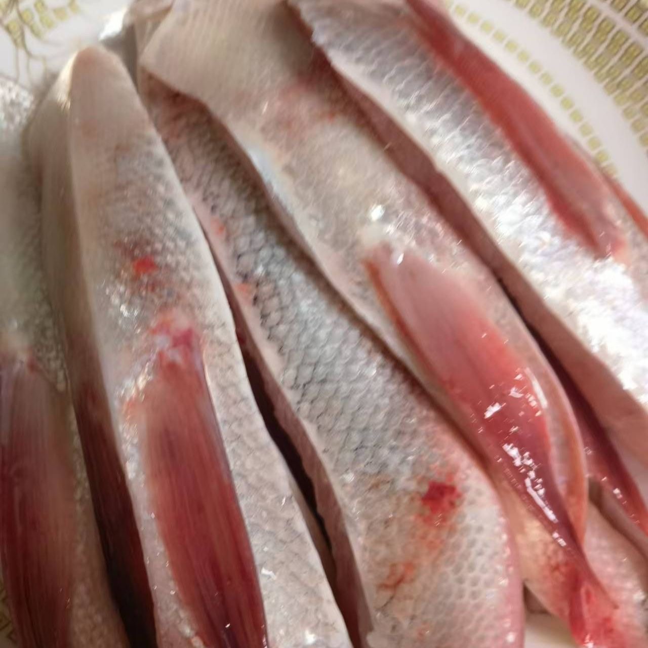 白鲢鱼腩鱼腹鱼腩淡水鱼鱼边托泥