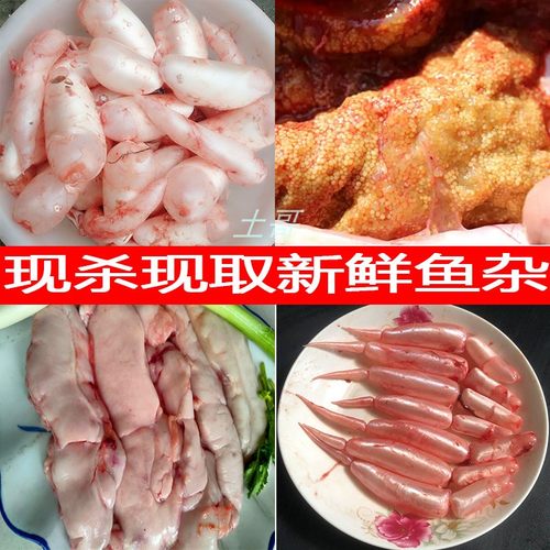 新鲜鱼杂鱼泡鱼籽鱼肝冷冻鱼胶鱼白鱼宝鱼肚鱼子鱼鳔鱼肠鱼内脏