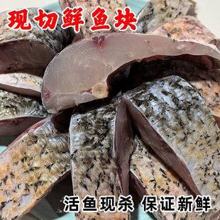 鱼块瓦块鱼湖北鲤鱼鱼身切块新鲜活鱼现杀红烧鱼块鱼头鱼排