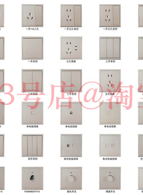 西龙86型暗装一开二开五孔电源插座面板双控开关E8香槟金