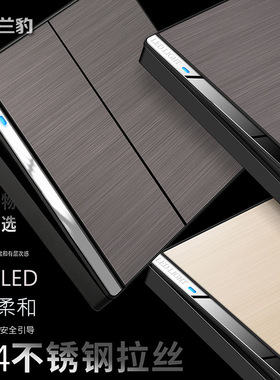 LED家用开关插座一开单控不锈钢拉丝灰黑暗装双开面板墙壁开关H6