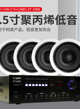 惠威定阻同轴高保真吸顶喇叭套装