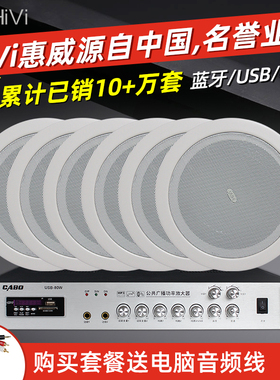 Hivi/惠威 TD206定压天花吊顶吸顶喇叭餐厅音响广播音箱功放套装