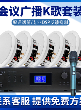 惠威VX6-C会议系统同轴吸顶喇叭家用商用音箱CABO功放套装带话筒