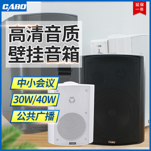 大功率定压壁挂音箱 CABO 室内挂壁音箱30W 40W 背景音乐广播音响