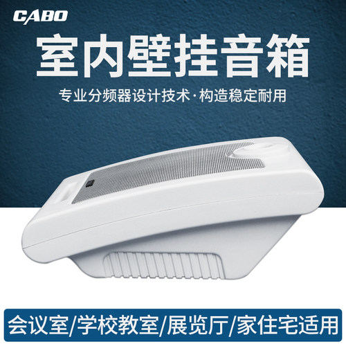 定压喇叭室内壁挂音箱