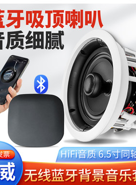 惠威CQ6-BT蓝牙吸顶音箱一对