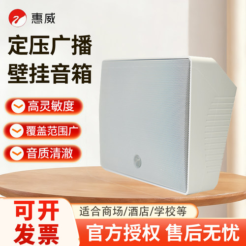 惠威tw108壁挂音响高保真喇叭