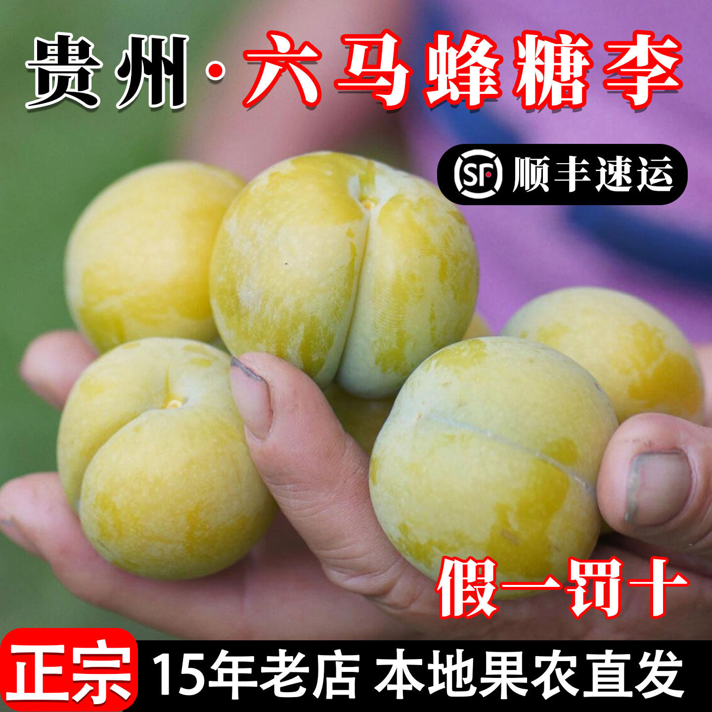 贵州六马蜂糖李大果新鲜水果应季礼盒装正宗安顺镇宁脱骨李鲜果