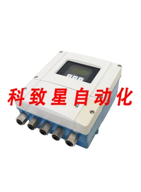 工业配件53P1H-ER0B1RC2B2AA流量计 53P1HER0B1RC2B2AA