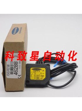 工业配件PD45VP6C100 46288 10-30VDC