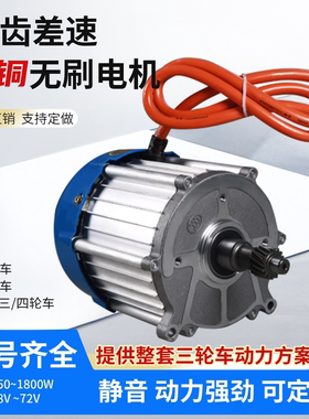 电动三轮车电机无刷永磁直流48v60V纯铜大功率高速通用1000W马达
