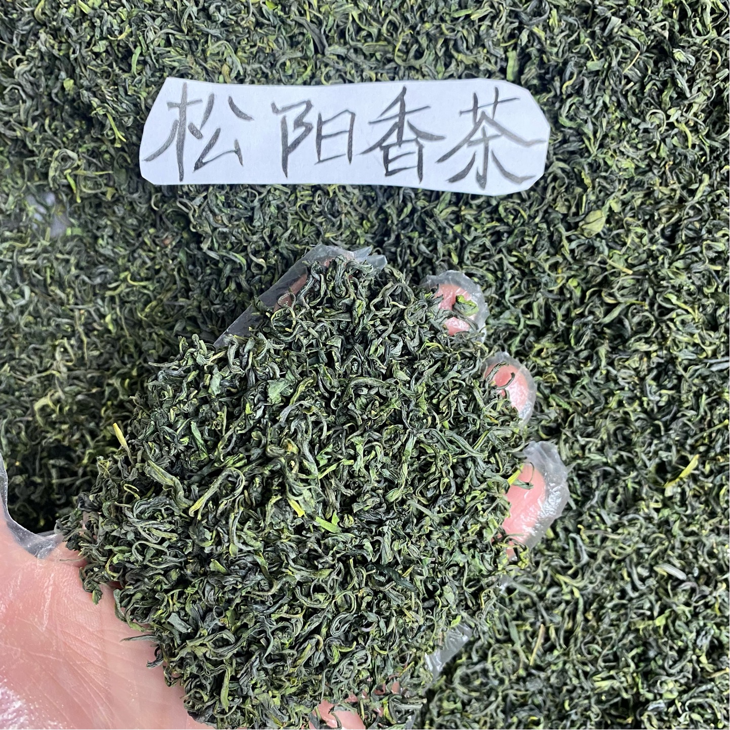 浙江松阳香茶2024年新茶一斤500g袋装春茶浓香耐泡绿茶丽水茶