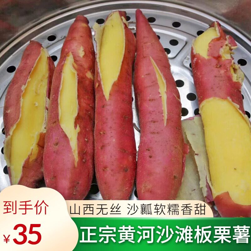 正宗山西沙滩地新鲜现挖当季板栗薯沙瓤长条黄心番薯糖心精选大果