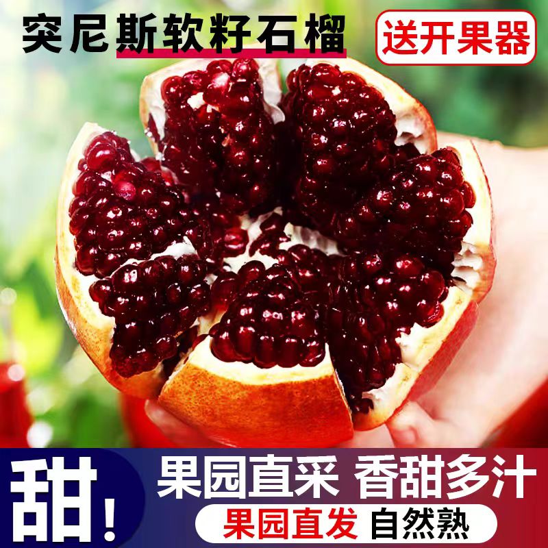 四川会理突尼斯软籽石榴现摘大果