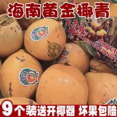 海南三亚特产黄金椰子新鲜水果甜