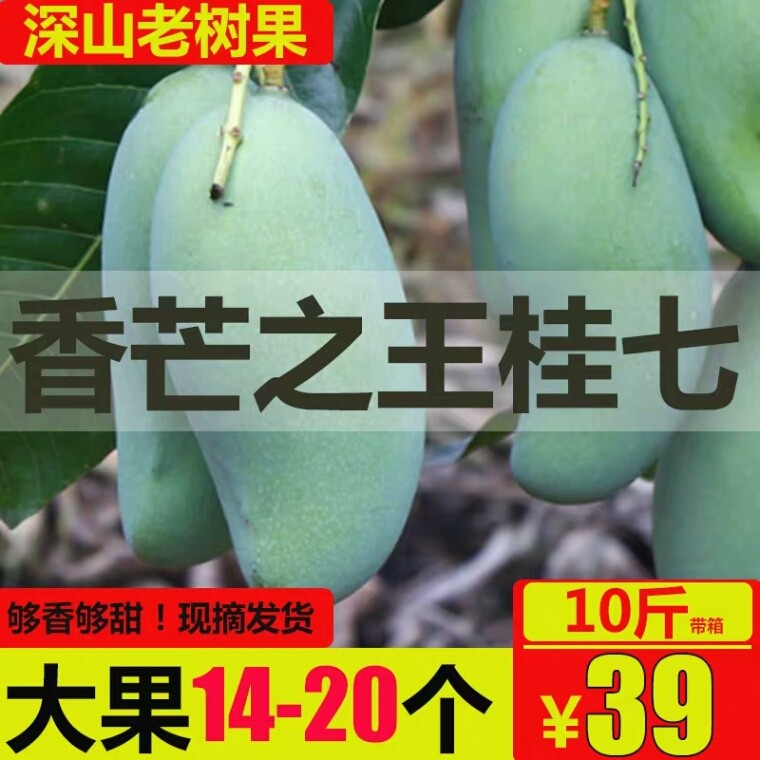 正宗广西百色田东老树桂七芒果甜