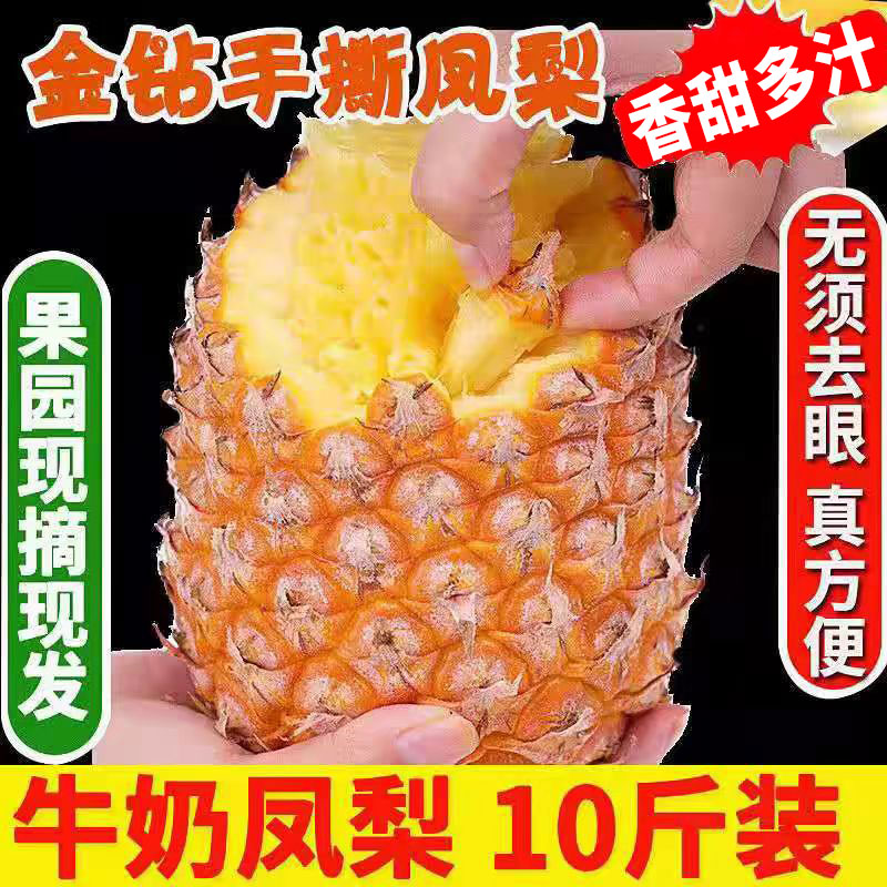 海南金钻凤梨新鲜大果手撕无眼甜图片