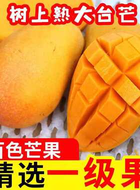 助农百色田东大台芒新鲜广西香甜