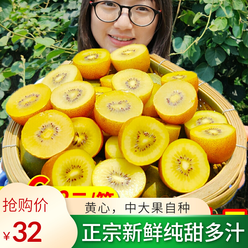 四川浦江一级黄心猕猴桃新鲜5斤大果包邮水果奇异果泥弥猴桃翠香