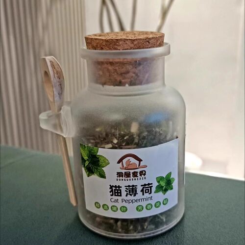 洞屋食界猫薄荷粉末草叶清洁口腔清新助消化食品级猫咪口臭茶包