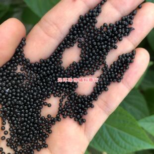 2mm无孔黑色塑料珠布匹撒珠黑色圆形散珠手工材料无孔小珠珠