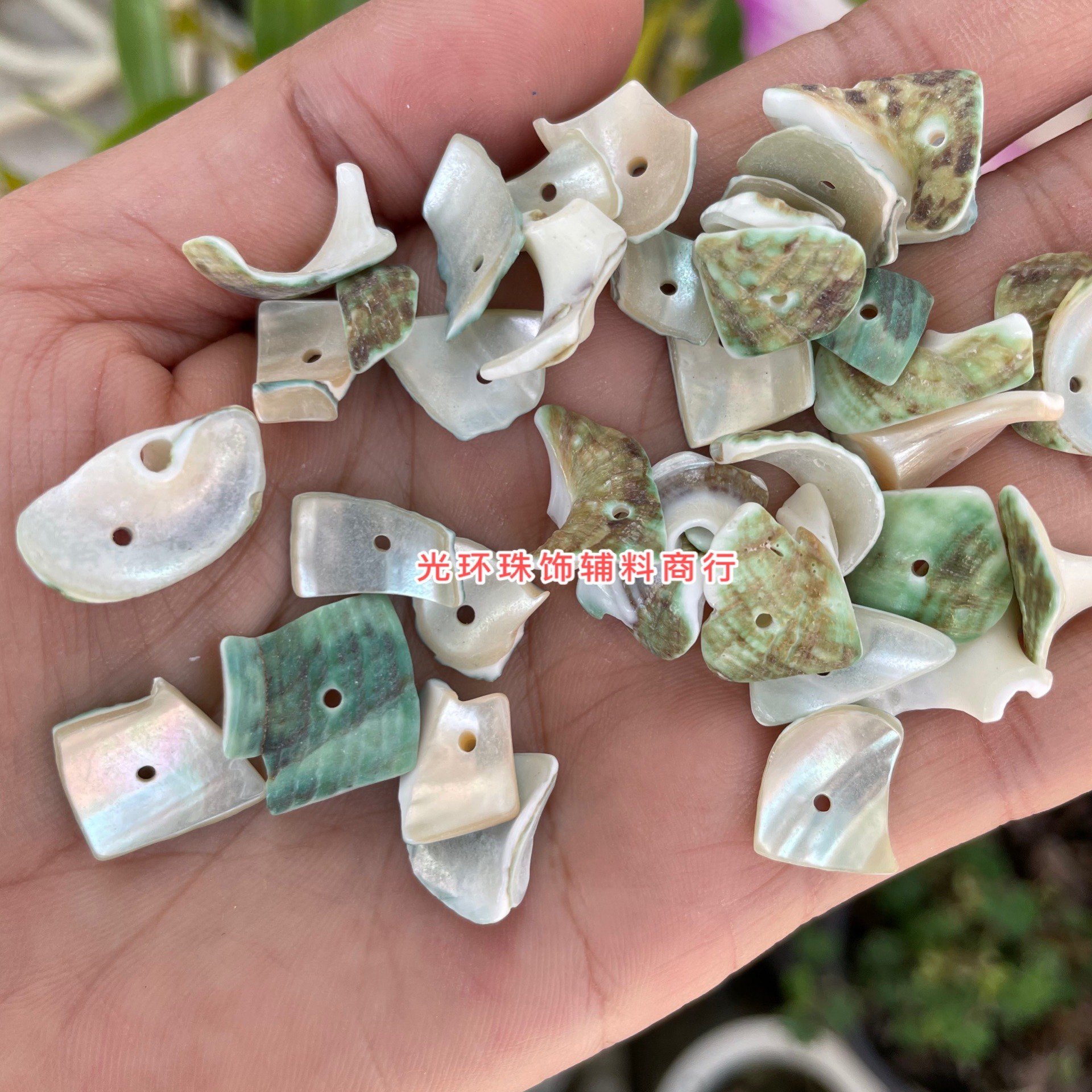 光环 10-18mm不规则天然绿色贝壳珠串珠材料手工饰品DIY包包散珠,饰品/流行首饰/时尚饰品新,其他DIY饰品配件,淘宝优惠券,粉丝福利购,淘宝优惠卷